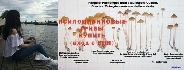 mix Алексин