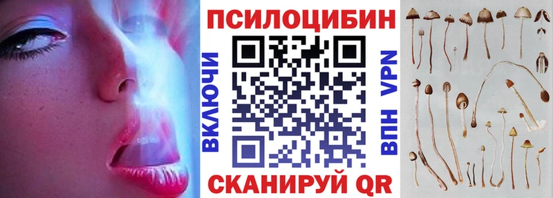 что такое   Себеж  Псилоцибиновые грибы мицелий 